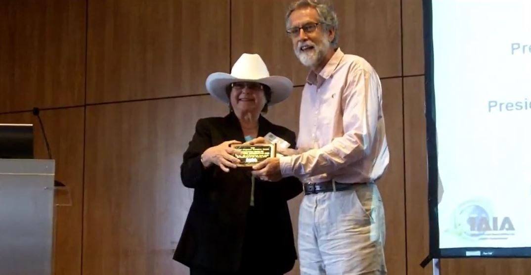 ICEM wins IAIA Award for Achievements in SEA