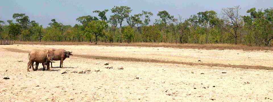 MRC Climate Change and Adaptation Initiative (CCAI)