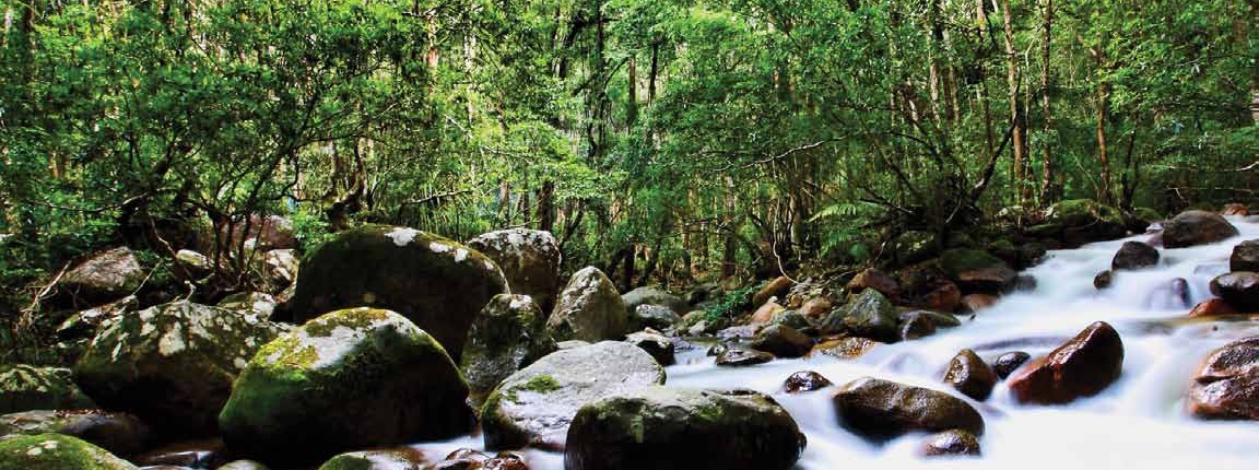 Biodiversity Planning in Asia