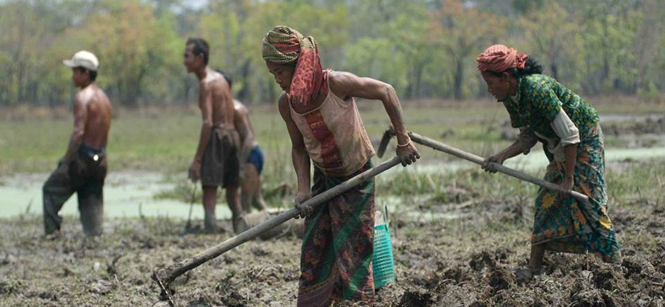 Maintaining Community Livestock Systems in the Face of Climate Change