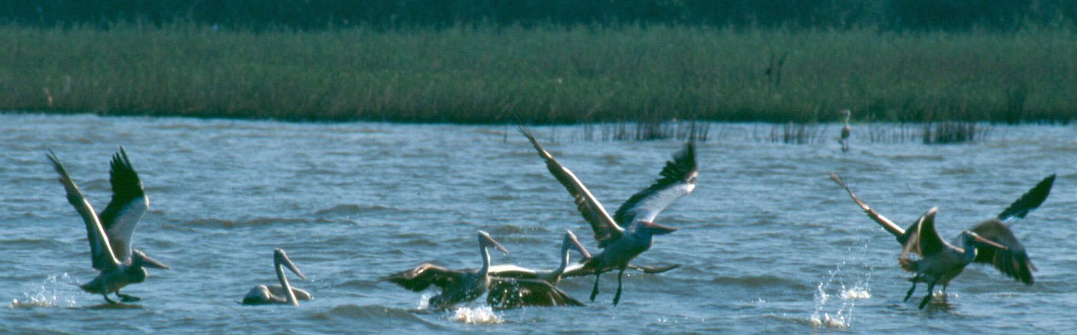 Protected Areas Policy Reform Project in Vietnam