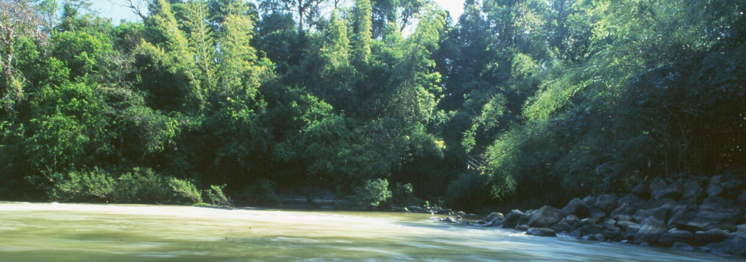 Financial Sustainability for National Systems of Protected Areas – Vietnam