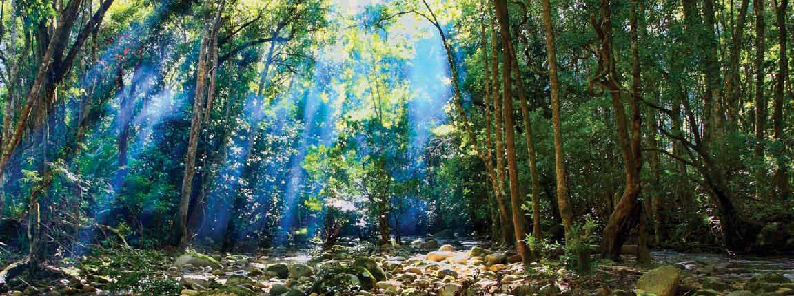 Chu Yang Sin National Park Assessment