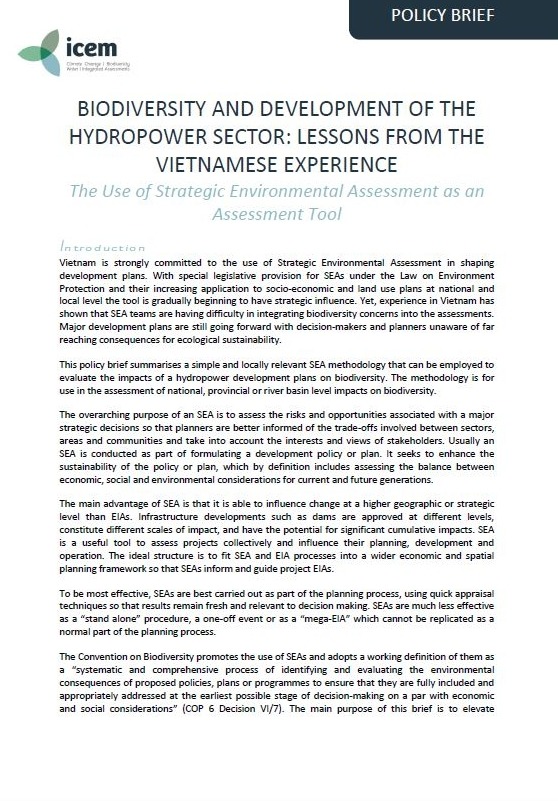 Biodiversity and Development of the Hydropower Report Series – Vol 4: SEA as an Assessment Tool Policy Brief