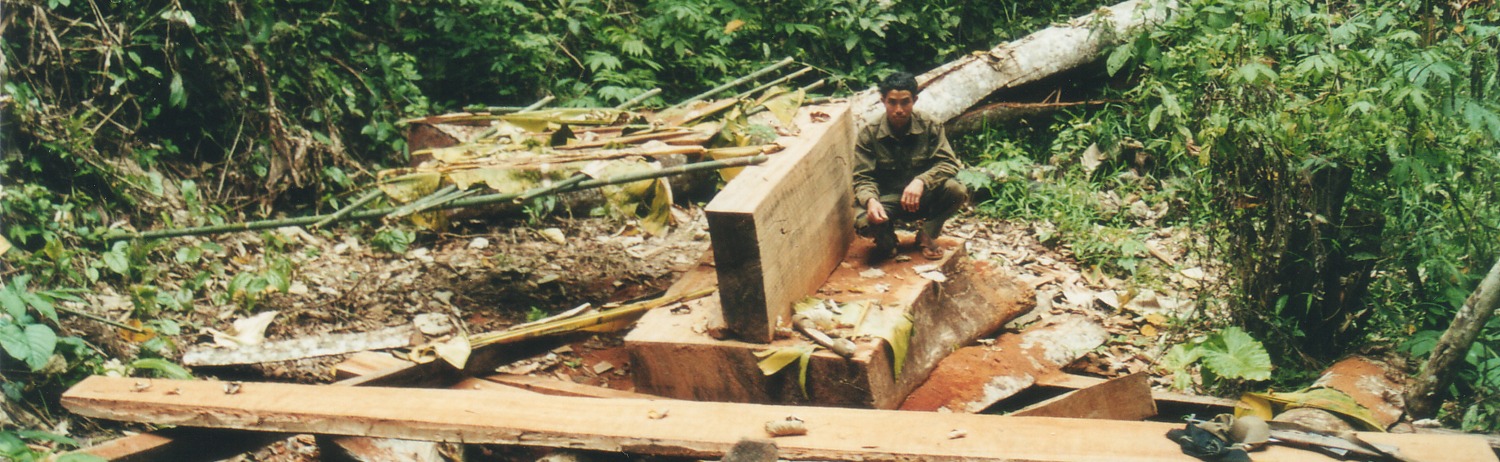 Strategic Environmental Assessment for Vietnam’s Forestry Master Plan 2010-2020