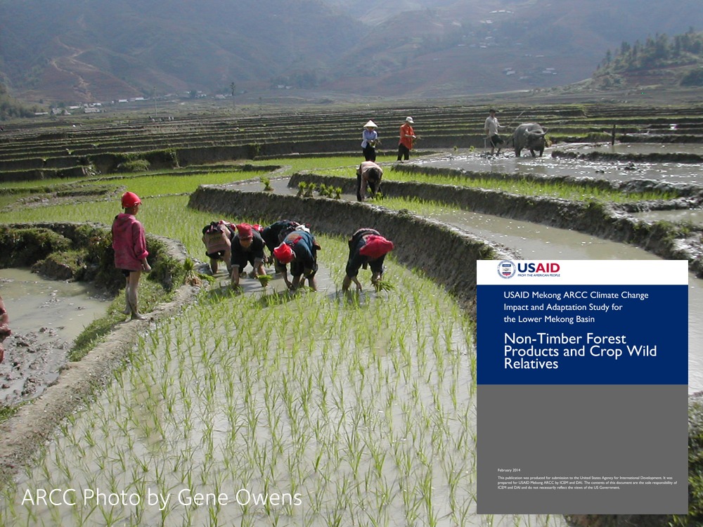 Mekong ARCC Climate Change Impact and Adaptation Study: Non Timber Forest Products and Crop Wild Relatives Report