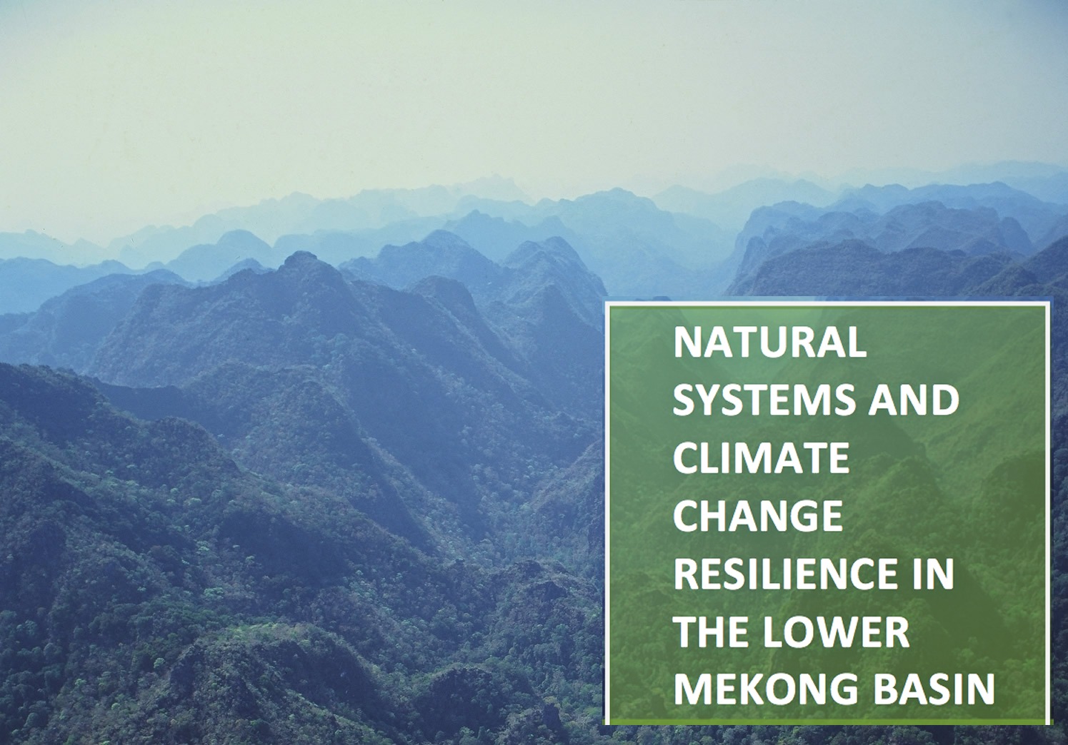 Natural Systems and Climate Change Resilience in the Lower Mekong Basin