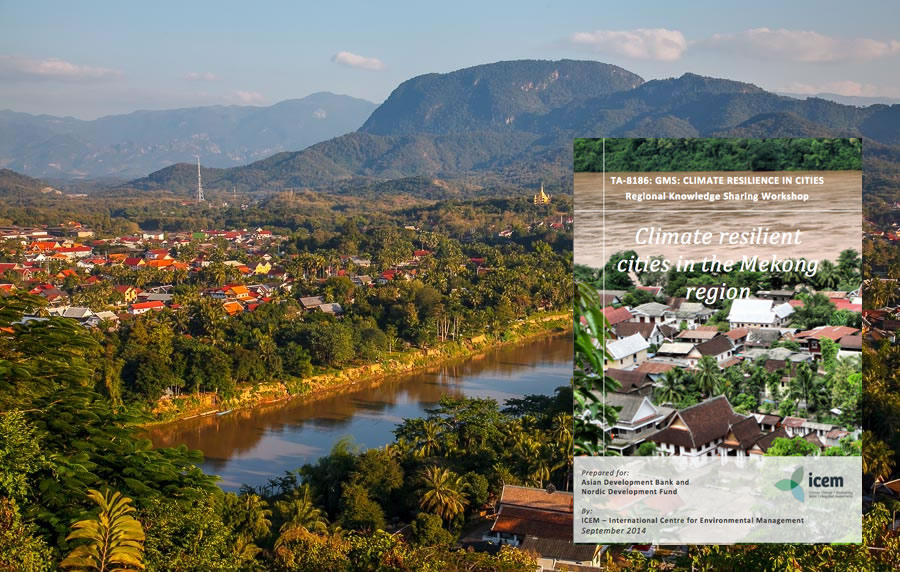Resilient Cities Regional Workshop Report