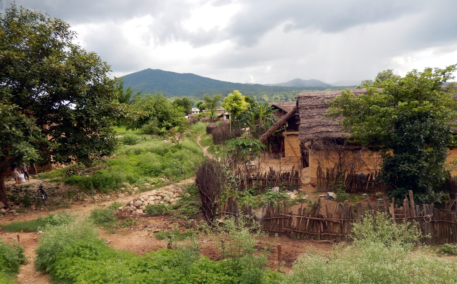 Nepal Readiness for Reducing Emissions from Deforestation (REDD+)
