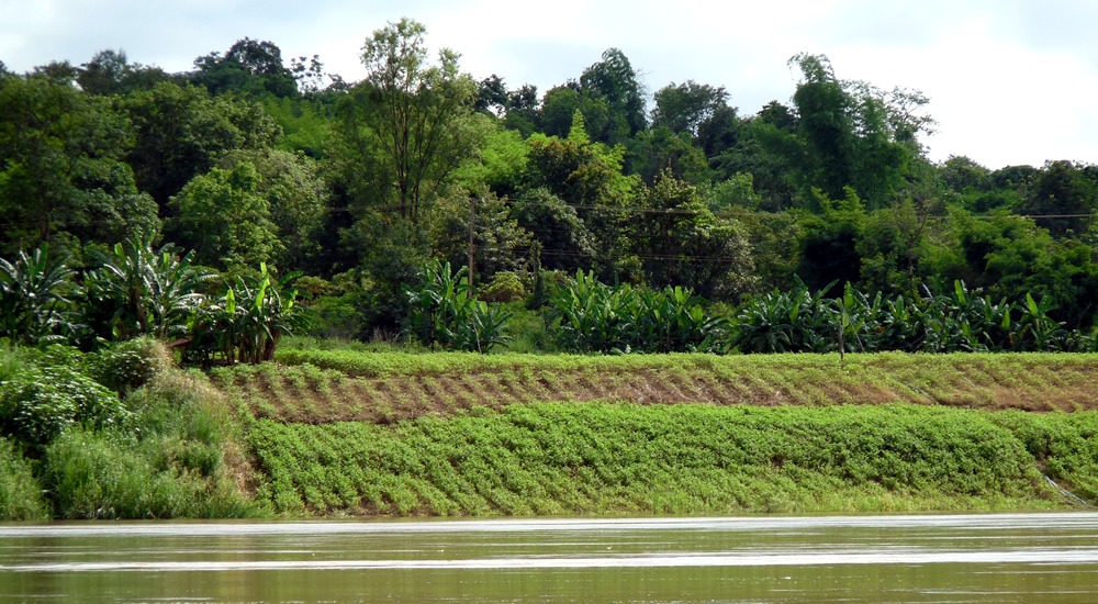 Biochar Assessment and Soil Mapping Study