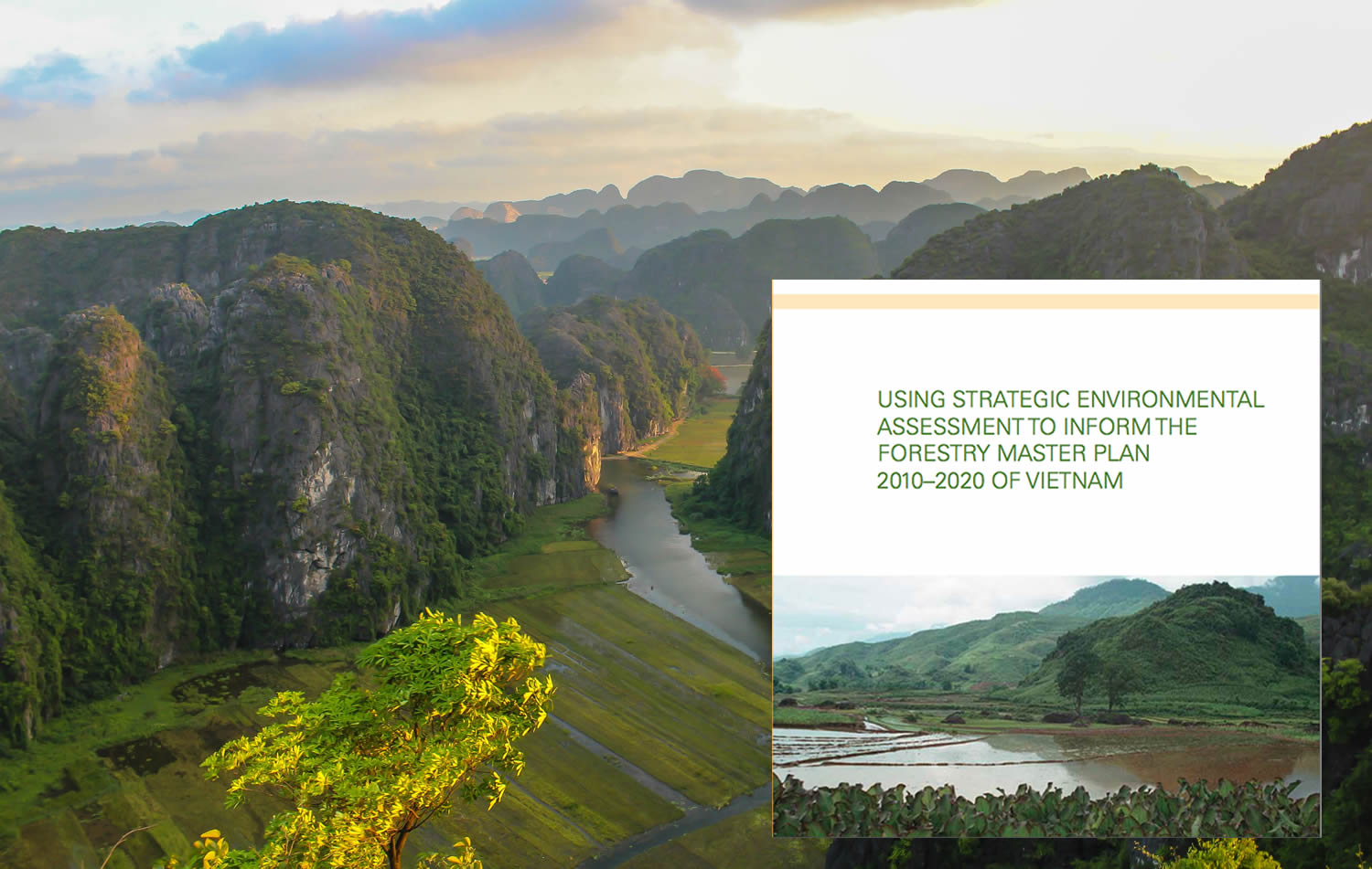Using Strategic Environmental Assessment to Inform the Forestry Master Plan 2010 – 2020 of Vietnam