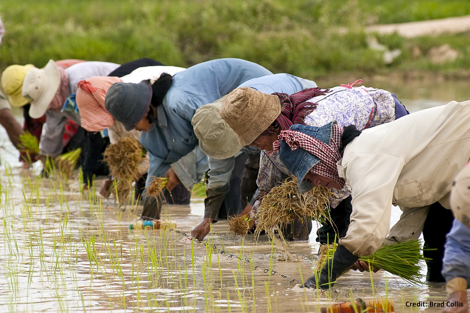 Community-based Disaster Risk Management (CBDRM) and Farmer Water Users Community (FWUC) Support