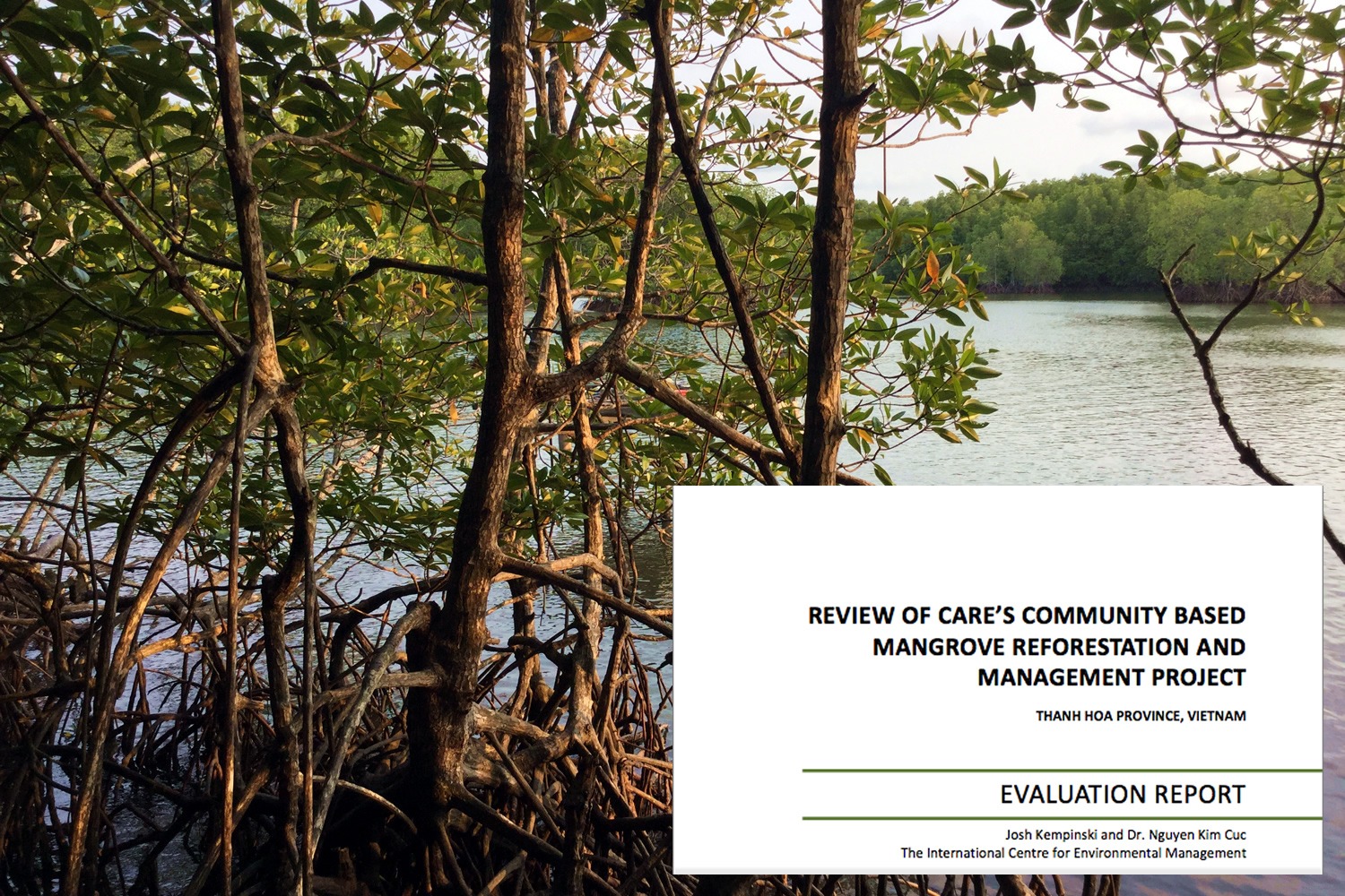 Review of CARE’s Community Based Mangrove Reforestation and Management Project