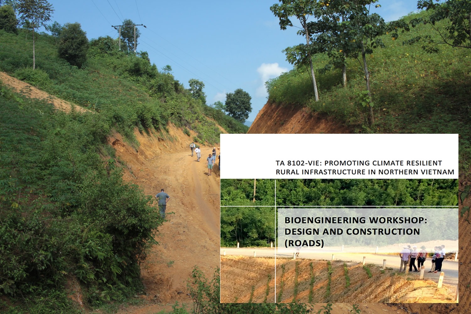 ￼Bioengineering Workshop: Design and Construction (Roads)