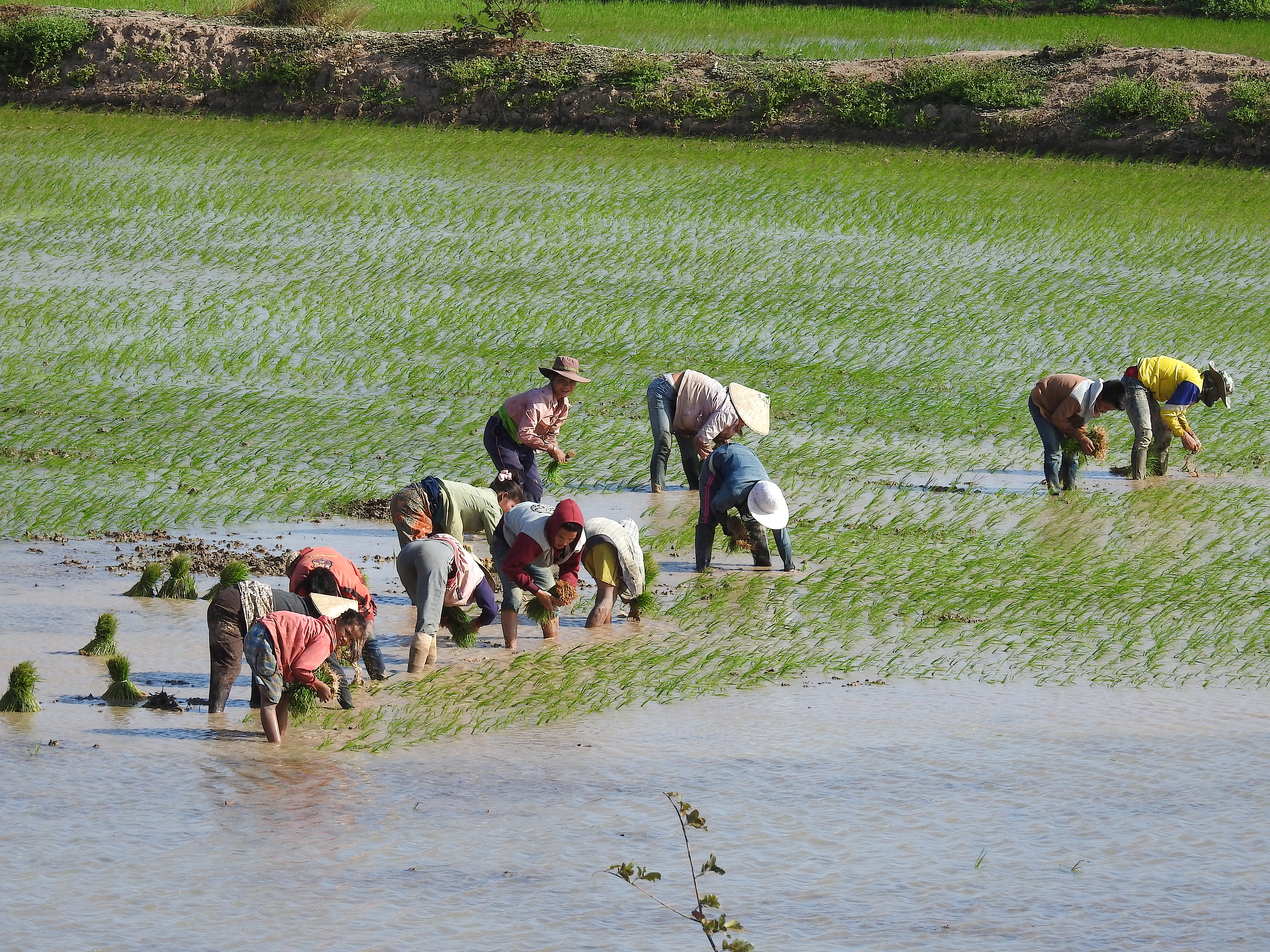 Basin-wide Assessment of Climate Change Impacts on Socio-economic Vulnerability in the Lower Mekong Basin