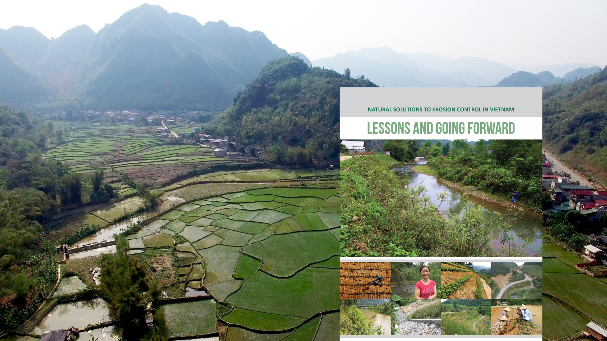 Natural Solutions to Erosion Control in Vietnam – Lessons and Going Forward