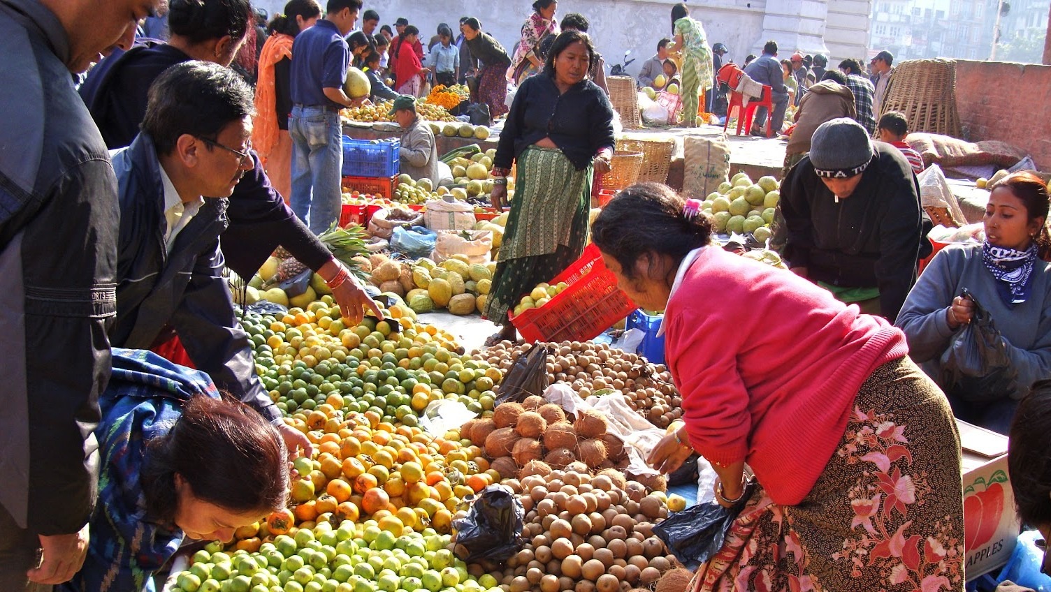 Technical Assessments on Value Driven Agricultural Resilience to Climate Change
