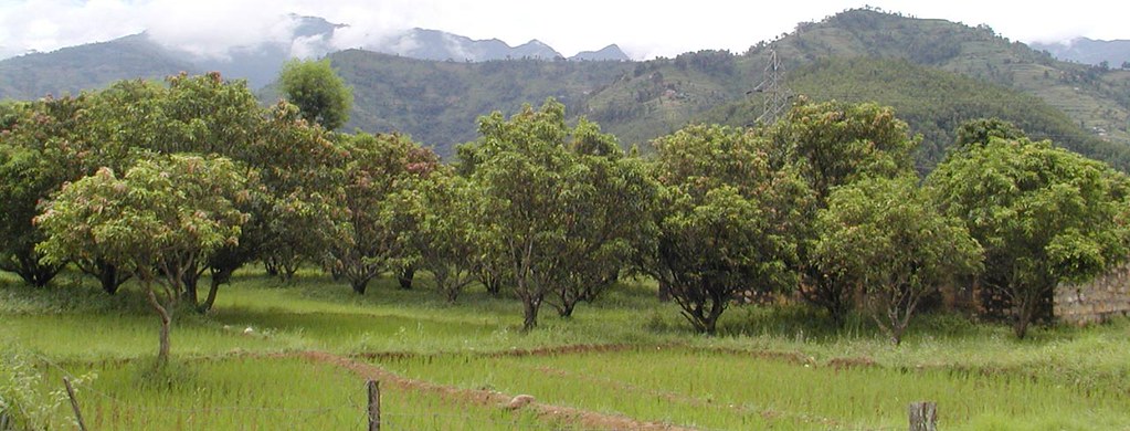 Deploying nature-based solutions (NBS) as specific measures to address agroecosystem degradation and associated drivers and generate environmental benefits at multiple scales