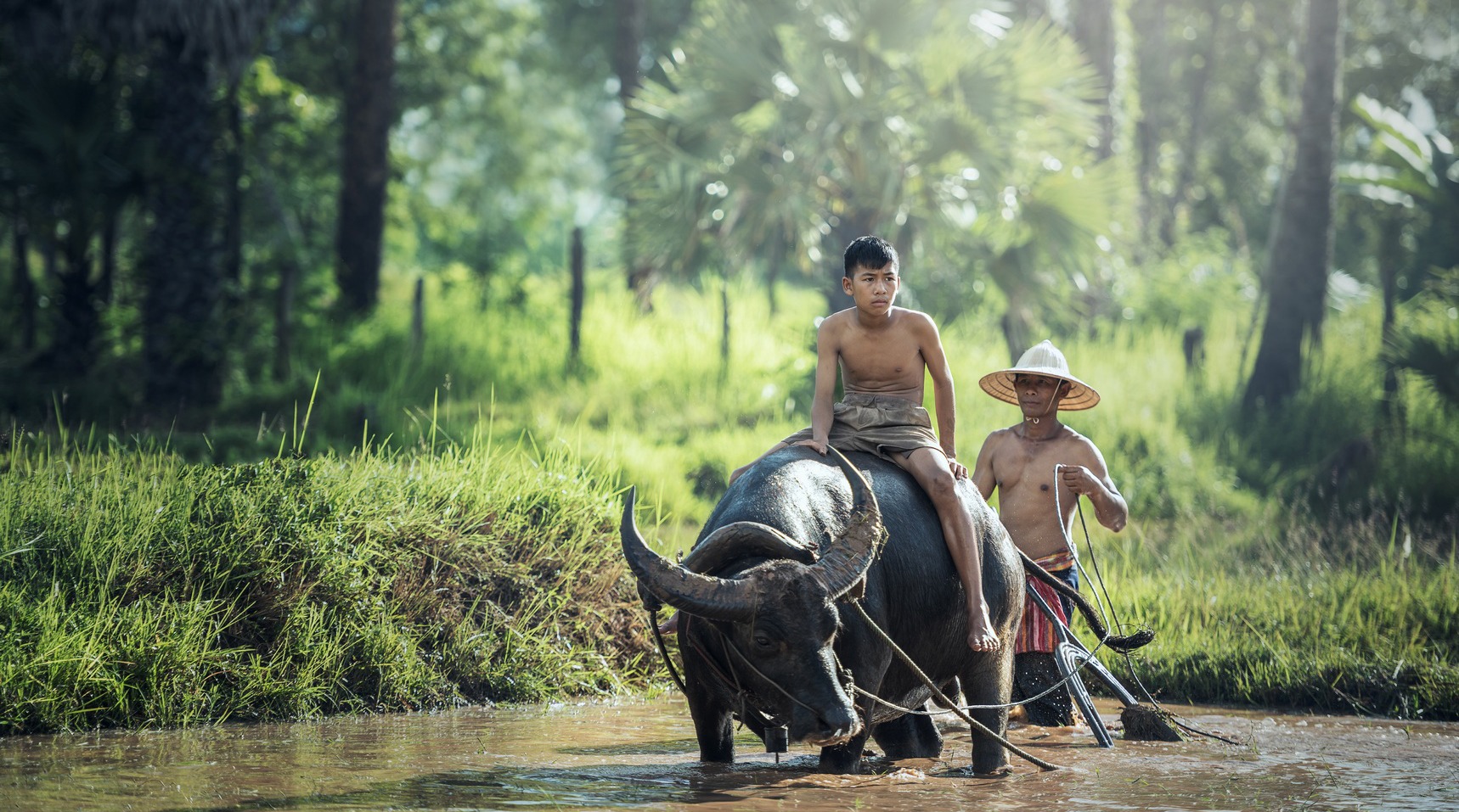 Disaster Risk and Resilience Analysis in Watersheds in Lao PDR